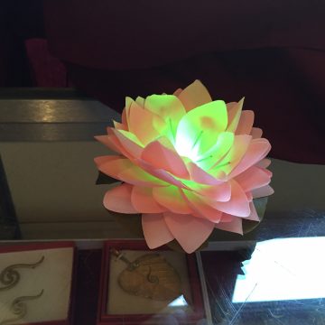 2016 NAKM Day 2 Sunday Lotus Light